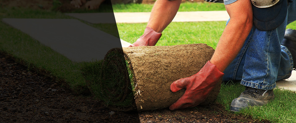 Kings Park Landscapers